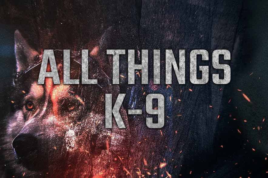 All Things K-9